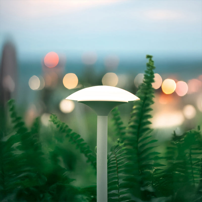 Narcissus Outdoor Light (IP65) -Solar Power & High CRI 90+ & UV Resistant