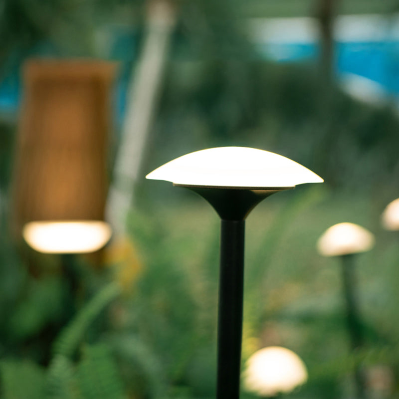 Narcissus Outdoor Light (IP65) -Solar Power & High CRI 90+ & UV Resistant