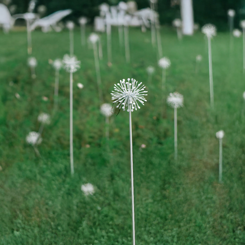 Dandelion-24W-3000K Outdoor Light (IP65) -Solar Power & High CRI 90+ & UV Resistant
