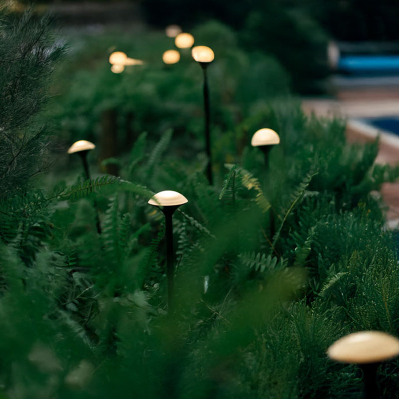 Narcissus Outdoor Light (IP65) -Solar Power & High CRI 90+ & UV Resistant