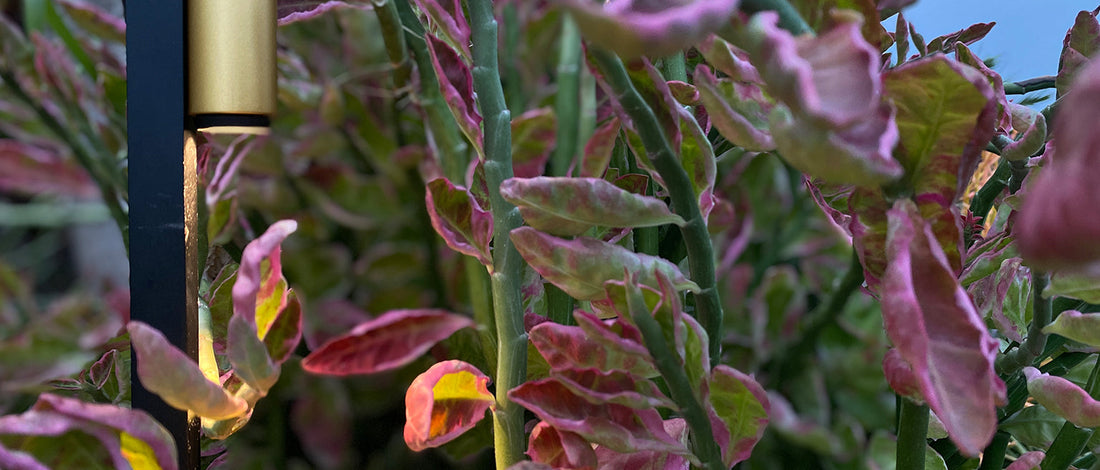 How to Choose Outdoor Lighting for Villas and Gardens: A Guide for Warm-Climate Regions