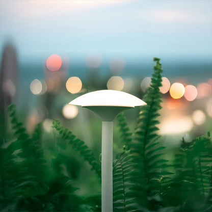 Narcissus Outdoor Light  (IP65) -Solar Power & High CRI 90+ & UV Resistant