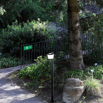 Outdoor Light 12W-3000K (IP65) - Solar Powered & High Colour Rendering Index (CRI) 90+ & UV Protection