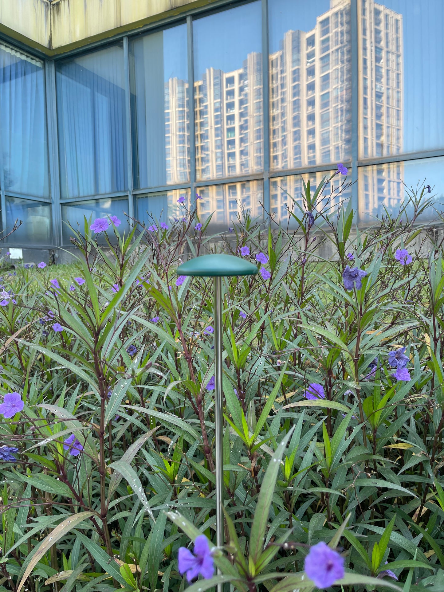 SOP0092-02-Outdoor Light - 3000K (IP65) - Solar Powered & High Colour Rendering Index (CRI) 90+ & UV Protection