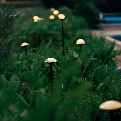 Narcissus Outdoor Light  (IP65) -Solar Power & High CRI 90+ & UV Resistant
