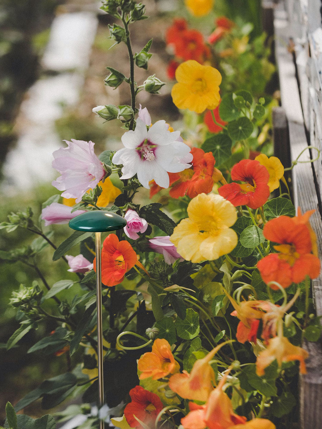 SOP0092-02-Outdoor Light - 3000K (IP65) - Solar Powered & High Colour Rendering Index (CRI) 90+ & UV Protection